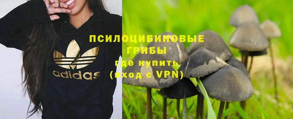бутират Майский